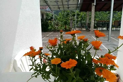 Gemütliche Ferienwohnung Nar mit Meerblick in