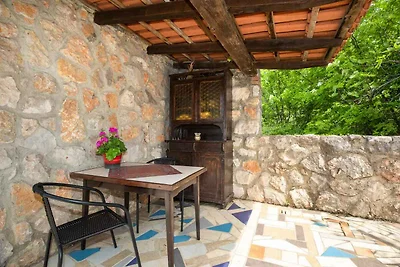 Ferienwohnung mit schöner Terrasse