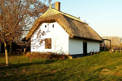 Vakantiehuis Ontspannende vakantie Buzsak