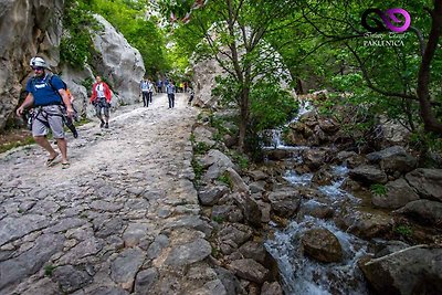 Holiday flat family holiday Starigrad