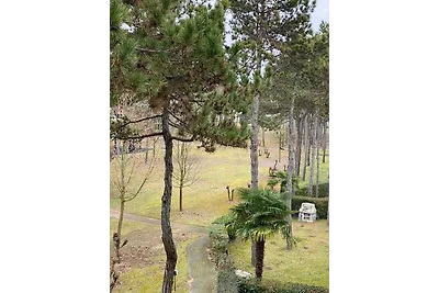 Vakantieappartement Gezinsvakantie Caerano di San Marco