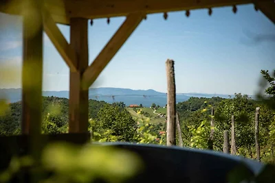 Ferienhaus mit Sauna und Weinkeller