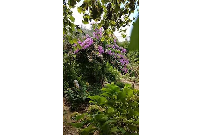 Vakantieappartement Gezinsvakantie Lopar