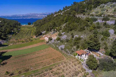Ferienhaus mit Garten und Grill