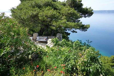 Ferienhaus mit Meerblick