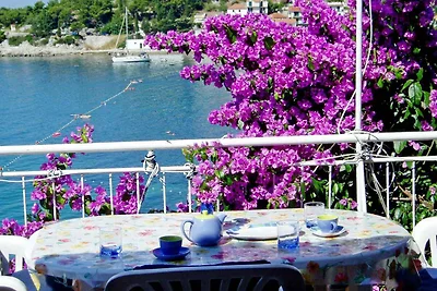 Appartamento Vacanza con famiglia Drvenik Veliki