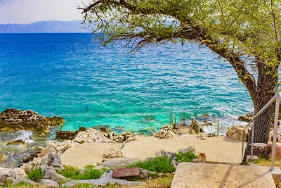 Ferienwohnung mit Terrasse und