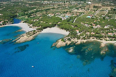 Ferienwohnung Zwei Zimmerwohnung mit