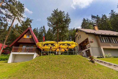 Hütte mit Aussicht auf Lipno See