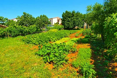 Ferienwohnung mit Garten und Grill