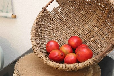 Ferienwohnung in einmaliger Aussichtslage hoc