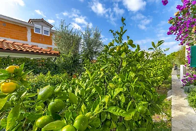 Ferienwohnung mit Klimaanlage und Meerblick