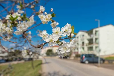 Ferienwohnung nahe zum Meer