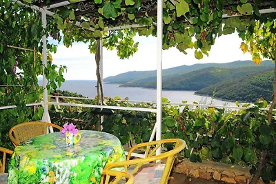 Ferienwohnung mit Klimaanlage und Terrasse