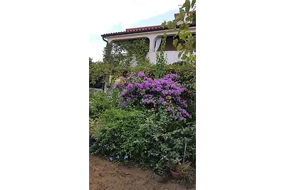 Ferienwohnung mitTerrasse