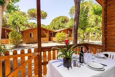 Casa vacanze Vacanza di relax Viareggio