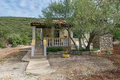 Ferienhaus mit Terrasse und Internet