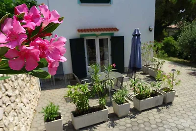 Ferienwohnung mit einer Terrasse, nur 70 m vo