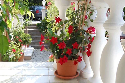 Ferienwohnung mit Terrasse und WLAN