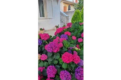 Ferienwohnung mit Klimaanlage