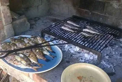 Studio-Apartment für 2–3 Personen, 10 m vom M