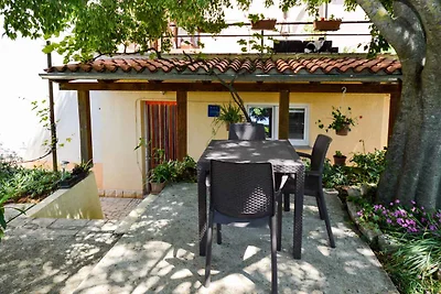 Studio mit Terrasse und Klimaanlage