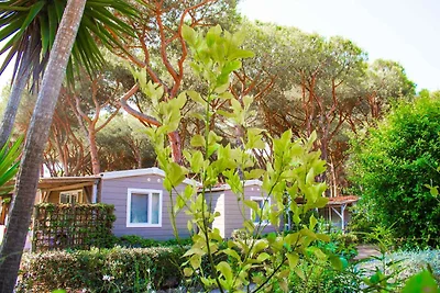 Vakantieappartement Gezinsvakantie Orbetello