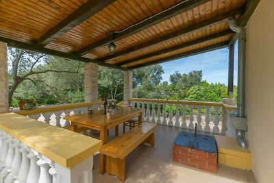 Ferienhaus mit Terrasse und Internet