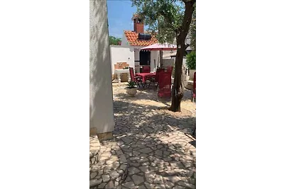 Ferienwohnung am Meer