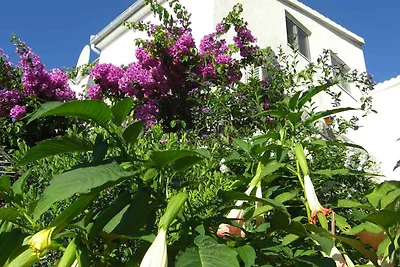 Ferienwohnung mit Klimaanlage und Meerblick