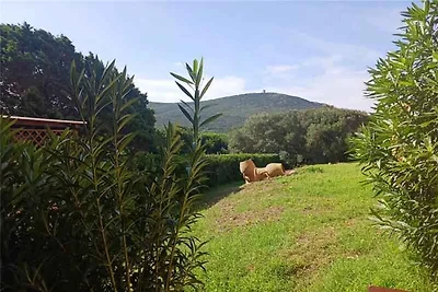 Ferienwohnung mit Garten und Klimaanlage