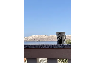 Ferienwohnung mit Meerblick, Klimaanlage und