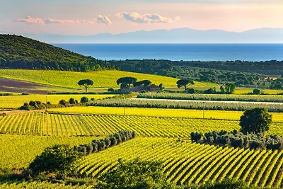 Apartament Dla rodzin Pisa