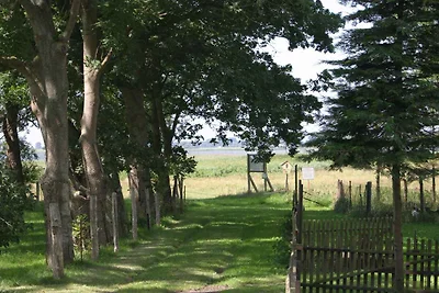 Ferienwohnung mit Gartenblick