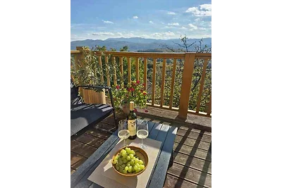 Ferienhaus Stopar-Weinberg