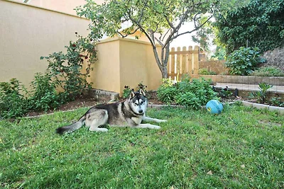 Gemütliche Ferienwohnung Top in Šilo auf der 