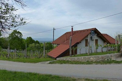 Casa vacanze Vacanza di relax Slovenia