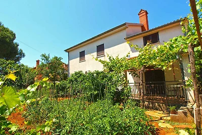Appartamento Vacanza con famiglia Valbandon