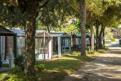 Mobilehome mit Terrasse, Klimaanlage und Pool