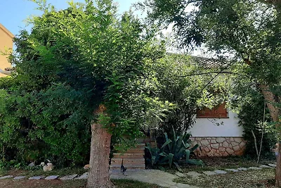 Holiday home relaxing holiday Novalja