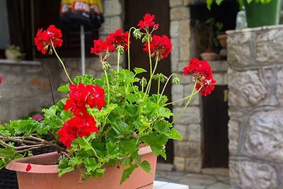 Charmante Unterkunft BISERKA in Mali Lošinj