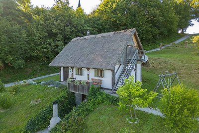 Vakantiehuis Ontspannende vakantie Otočec