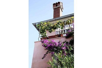 Ferienwohnung mit Klimaanlage und Terrasse