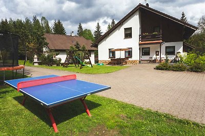 Appartamento Vacanza con famiglia Harrachov