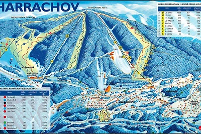 Ferienwohnung im Skigebiet