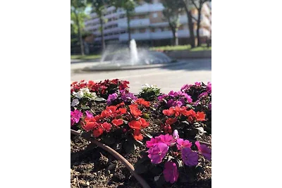 Ferienwohnung mit Balkon direkt am Strand