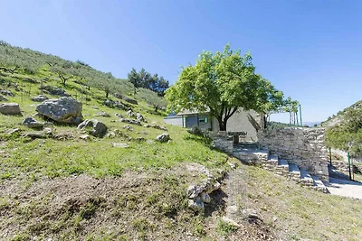 Ferienhaus mit Grill
