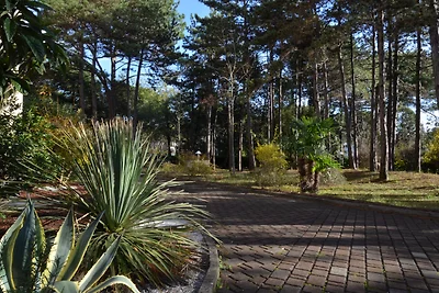 apartman za odmor Obiteljski odmor Bibione