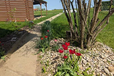 Ferienwohnung mit ruhiger Lage und Ausblick a