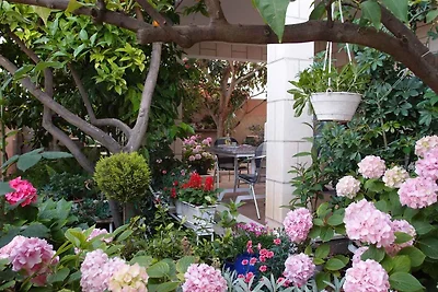 Appartamento Vacanza con famiglia Marina Trogir